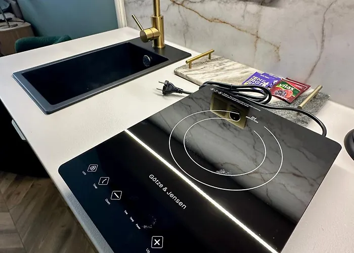 Opal Mickiewicza דירה טרנובסקי גאורי